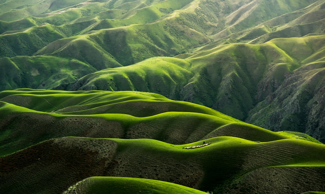 Sustainable Landscape
